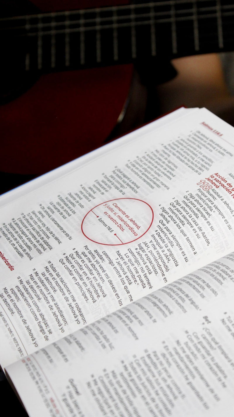 Cargue la imagen en el visor de la galería, Biblia de Estudio para Jóvenes RVR 1960, Tapa dura
