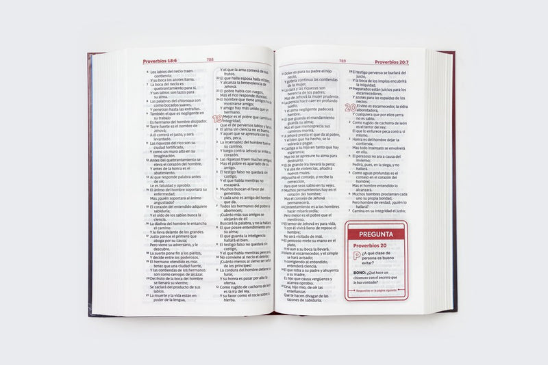 Cargue la imagen en el visor de la galería, Biblia de Estudio para Jóvenes RVR 1960, Tapa dura
