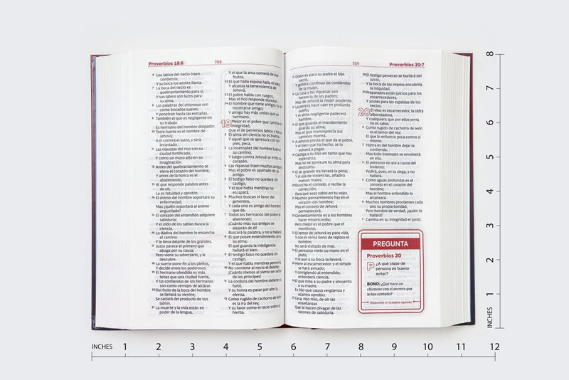Cargue la imagen en el visor de la galería, Biblia de Estudio para Jóvenes RVR 1960, Tapa dura
