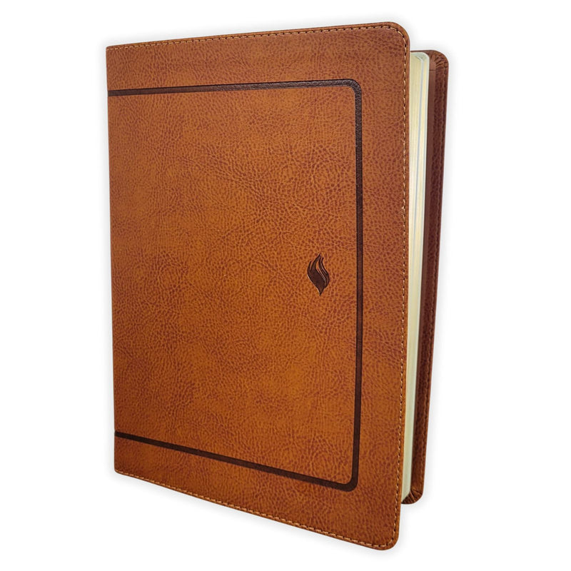 Cargue la imagen en el visor de la galería, Biblia de estudio de la Vida Plena RVR 1960, edición clásica café
