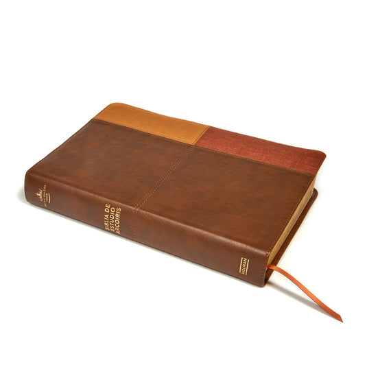 Biblia de Estudio Arcoíris RVR 1960, símil piel cocoa/ terracota