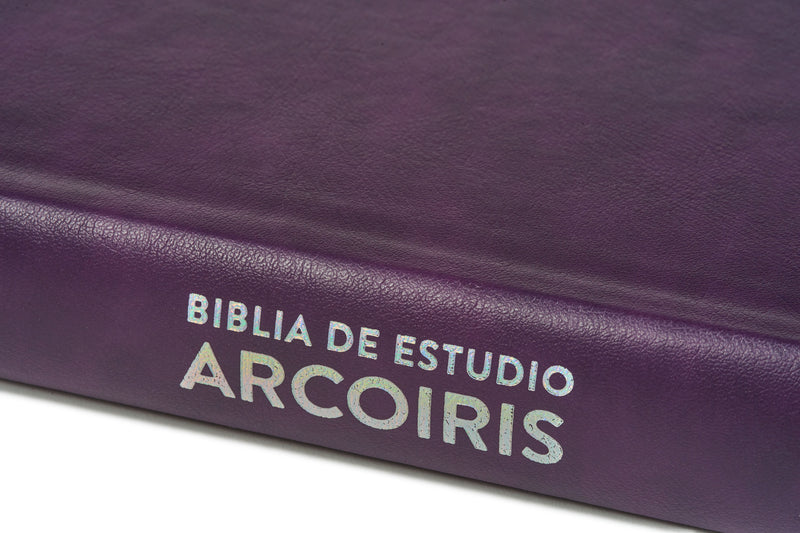 Cargue la imagen en el visor de la galería, Biblia de Estudio Arcoíris RVR 1960, símil piel morado/multicolor
