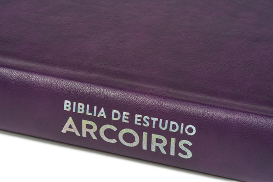 Biblia de Estudio Arcoíris RVR 1960, símil piel morado/multicolor