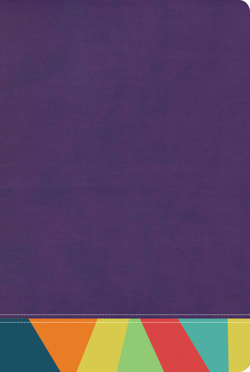 Cargue la imagen en el visor de la galería, Biblia de Estudio Arcoíris RVR 1960, símil piel morado/multicolor
