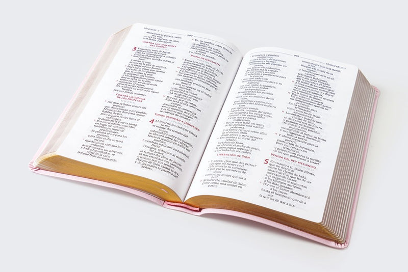 Cargue la imagen en el visor de la galería, Biblia Católica Regalos y Ceremonias, piel reciclada rosado
