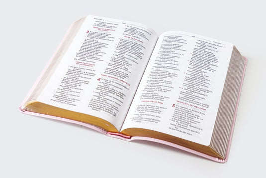 Biblia Católica Regalos y Ceremonias, piel reciclada rosado