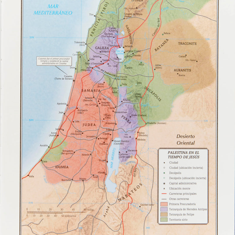 Cargue la imagen en el visor de la galería, Biblia de Estudio Scofield RVR 1960, tapa dura
