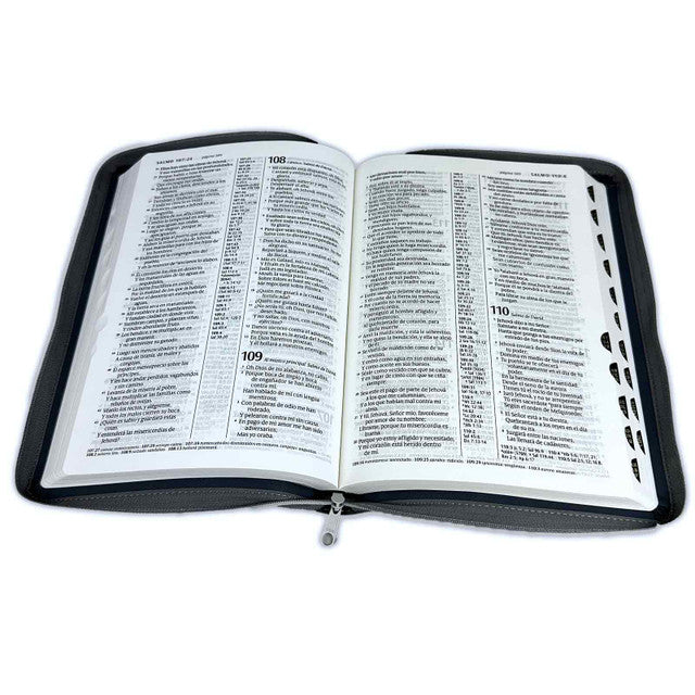 Cargue la imagen en el visor de la galería, Santa Biblia RVR 1960, Letra Grande, Edición zíper con referencias (SentiPiel gris)
