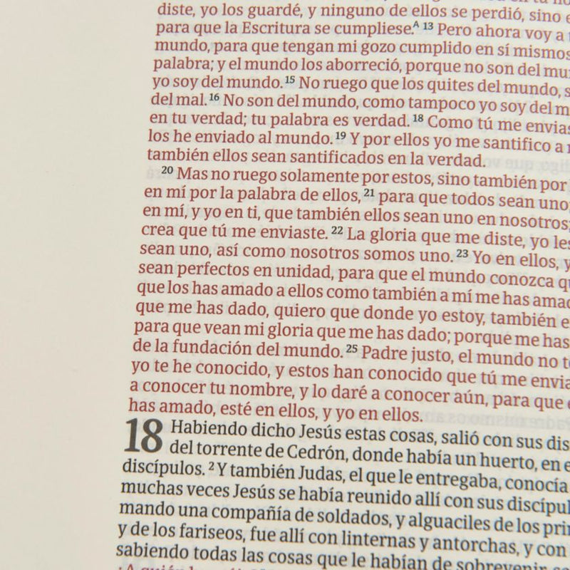 Cargue la imagen en el visor de la galería, Biblia de apuntes RVR 1960, Letra Grande, símil piel mosaico crema y azul
