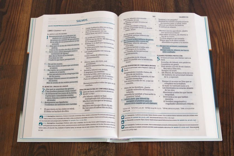 Cargue la imagen en el visor de la galería, Biblia del Pescador RVR 1960, Letra Grande, Tapa dura
