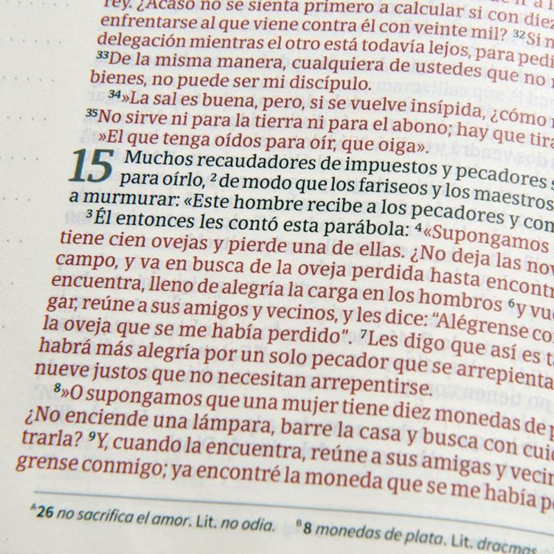 Cargue la imagen en el visor de la galería, Biblia de Apuntes NVI, Letra Grande, símil piel azulejos color salvia
