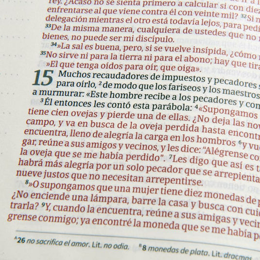 Biblia de Apuntes NVI, Letra Grande, símil piel azulejos color salvia