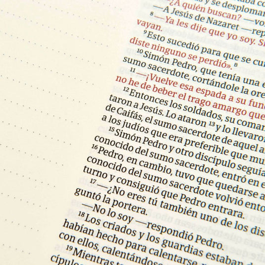 Biblia de Apuntes NVI, Letra Grande, símil piel azulejos blanco y azul