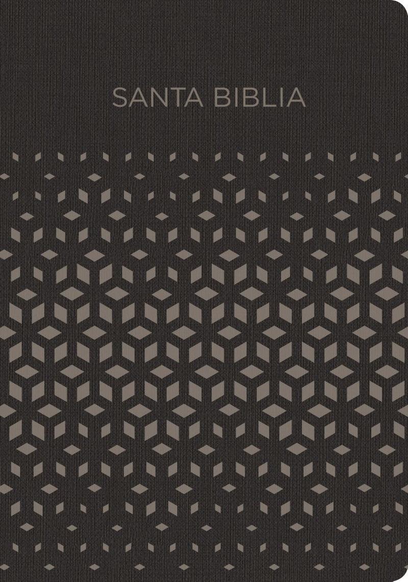 Cargue la imagen en el visor de la galería, Santa Biblia RVR 1960 para regalos y premios, Símil piel negro/plata
