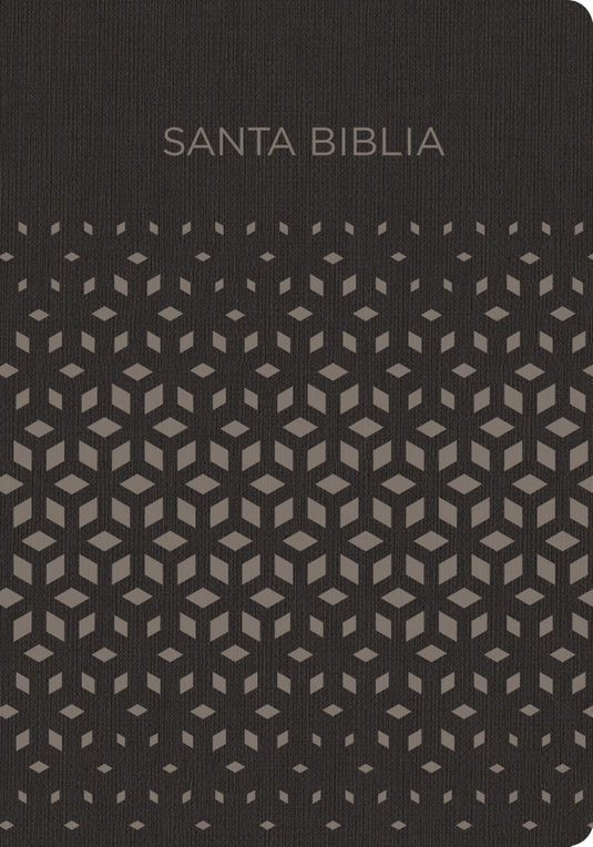 Santa Biblia RVR 1960 para regalos y premios, Símil piel negro/plata