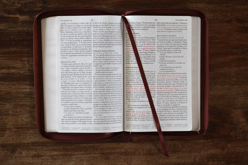 Cargue la imagen en el visor de la galería, Biblia ultrafina RVR 1960, Tamaño Manual, Cierre zíper, Letra Grande, símil piel café
