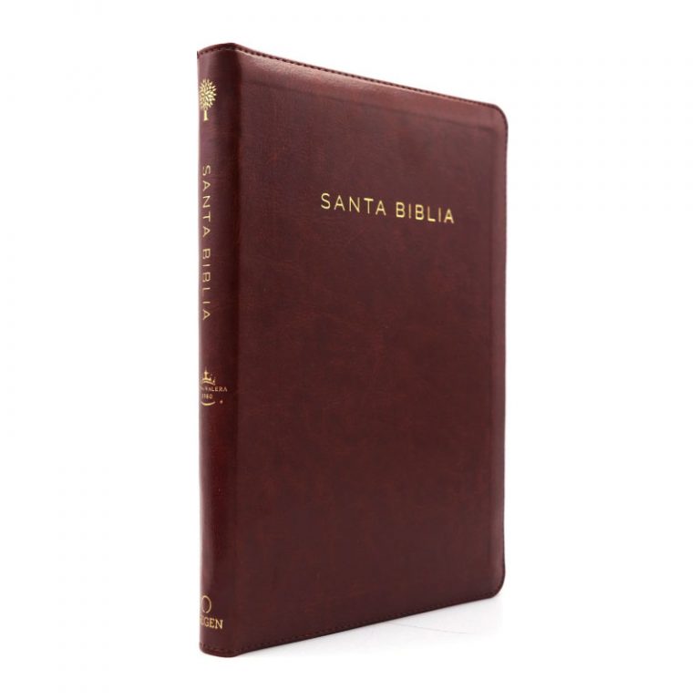 Cargue la imagen en el visor de la galería, Biblia ultrafina RVR 1960, Tamaño Manual, Cierre zíper, Letra Grande, símil piel café

