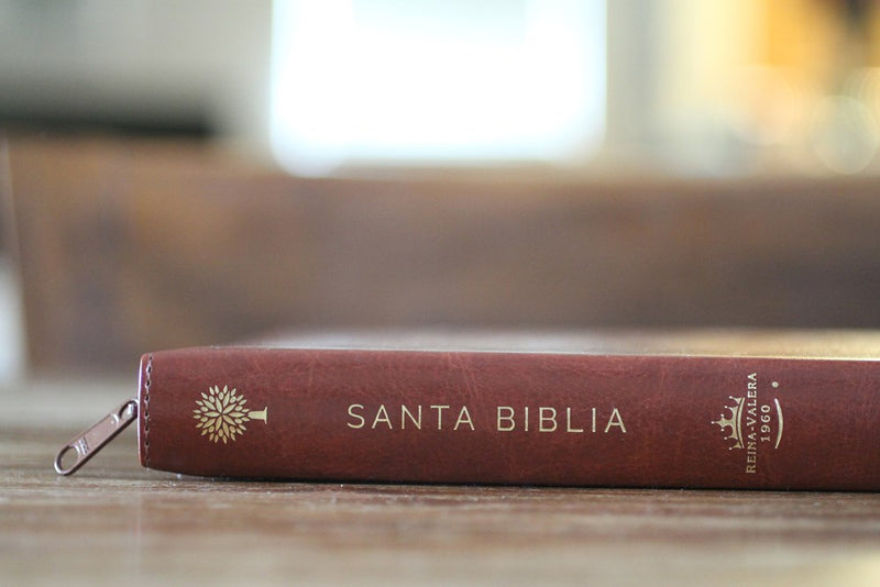 Cargue la imagen en el visor de la galería, Biblia ultrafina RVR 1960, Tamaño Manual, Cierre zíper, Letra Grande, símil piel café
