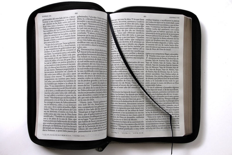 Cargue la imagen en el visor de la galería, Biblia RVR 1960, Letra Grande, Cierre zíper, imitación piel negra
