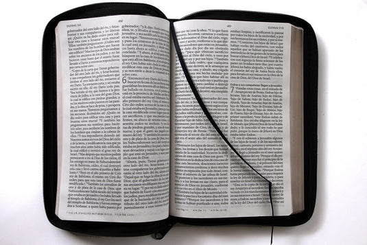 Biblia RVR 1960, Letra Grande, Cierre zíper, imitación piel negra
