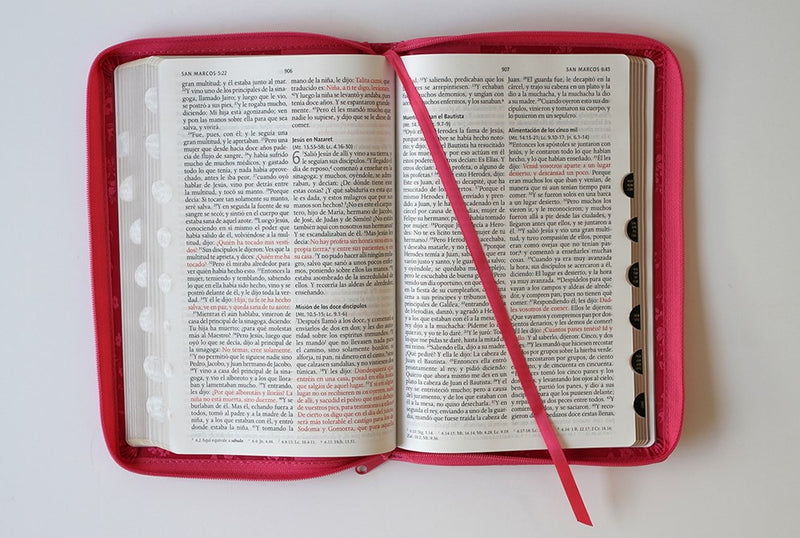 Cargue la imagen en el visor de la galería, Biblia RVR 1960, Tamaño Manual, Cierre zíper, con índice, Letra Grande, simil piel fucsia
