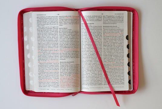 Biblia RVR 1960, Tamaño Manual, Cierre zíper, con índice, Letra Grande, simil piel fucsia