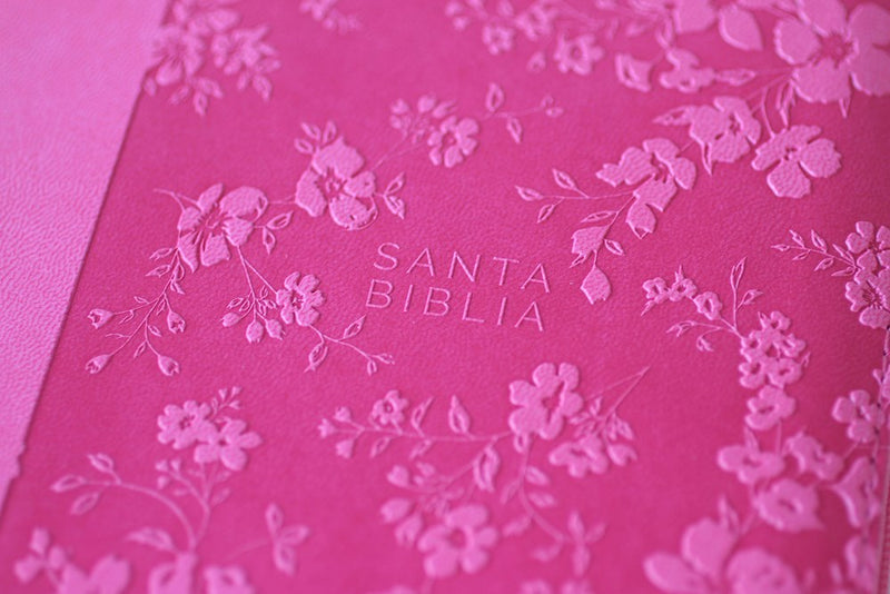 Cargue la imagen en el visor de la galería, Biblia RVR 1960, Tamaño Manual, Cierre zíper, con índice, Letra Grande, simil piel fucsia
