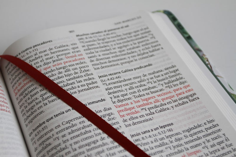 Cargue la imagen en el visor de la galería, Biblia RVR 1960, Letra Grande, Tamaño Manual, Tapa dura/ tela verde con flores
