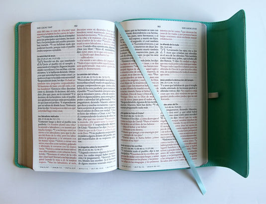 Biblia RVR 1960, Tamaño Manual, Letra Grande, símil piel aguamarina con solapa e imán