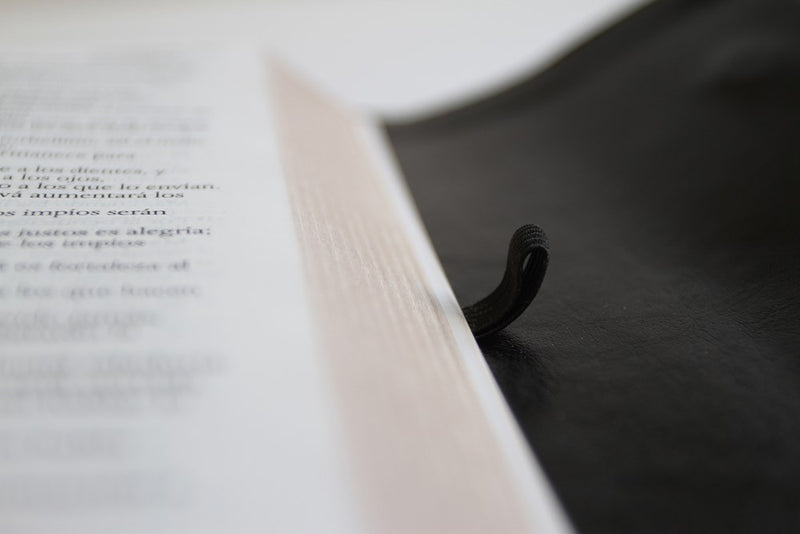 Cargue la imagen en el visor de la galería, Biblia RVR 1960, Tamaño Manual, Letra Grande, símil negro con solapa e imán
