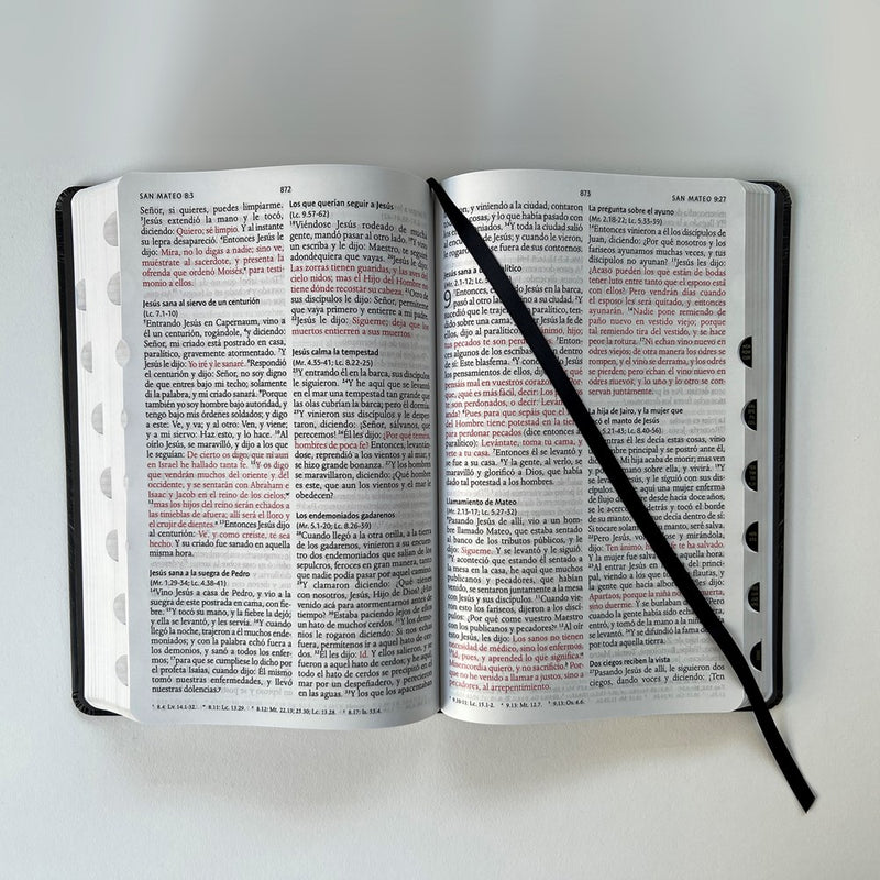 Cargue la imagen en el visor de la galería, Biblia León de Juda RVR 1960, Letra Grande, con índice, Tamaño Manual, tapa dura negra
