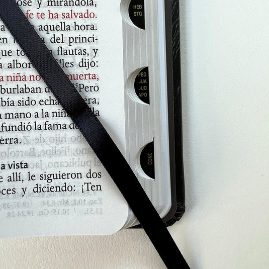 Biblia León de Juda RVR 1960, Letra Grande, con índice, Tamaño Manual, tapa dura negra