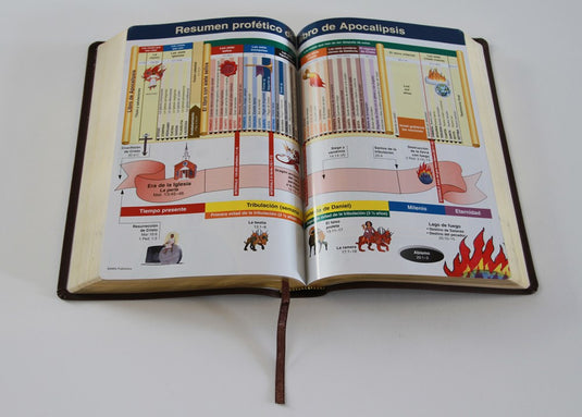 Biblia de estudio de la profecía RVR 1960, imitación piel café