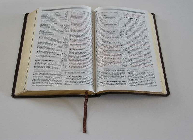 Cargue la imagen en el visor de la galería, Biblia de estudio de la profecía RVR 1960, imitación piel café
