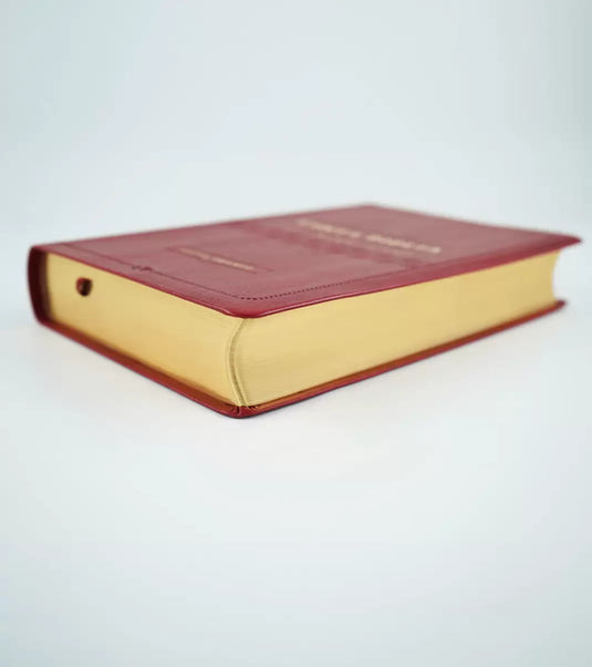 Biblia NVI, Tamaño Manual, Letra Grande, imitación piel vino