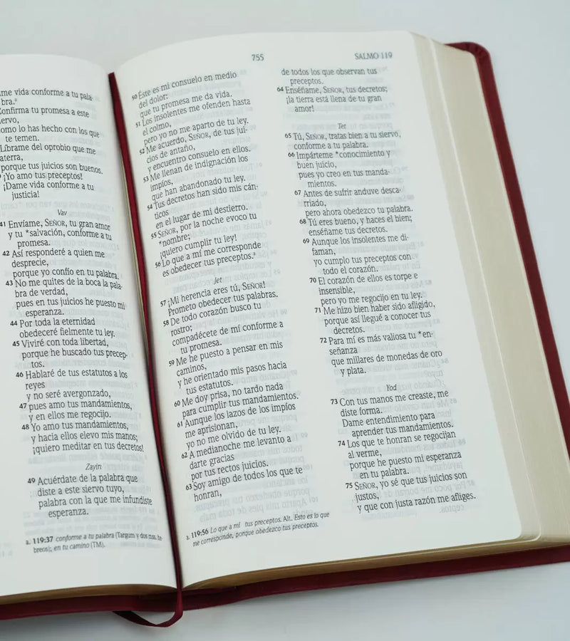 Cargue la imagen en el visor de la galería, Biblia NVI, Tamaño Manual, Letra Grande, imitación piel vino
