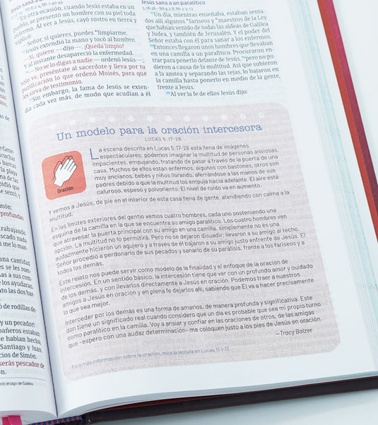 Biblia temas cotidianos para mujeres NVI, Tapa dura rosa