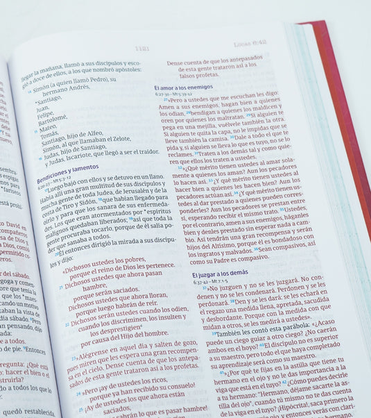 Biblia temas cotidianos para mujeres NVI, Tapa dura rosa