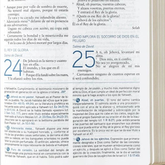 Biblia de Estudio del Mensaje Profético y Escatológico RVR, Leathersoft Negro