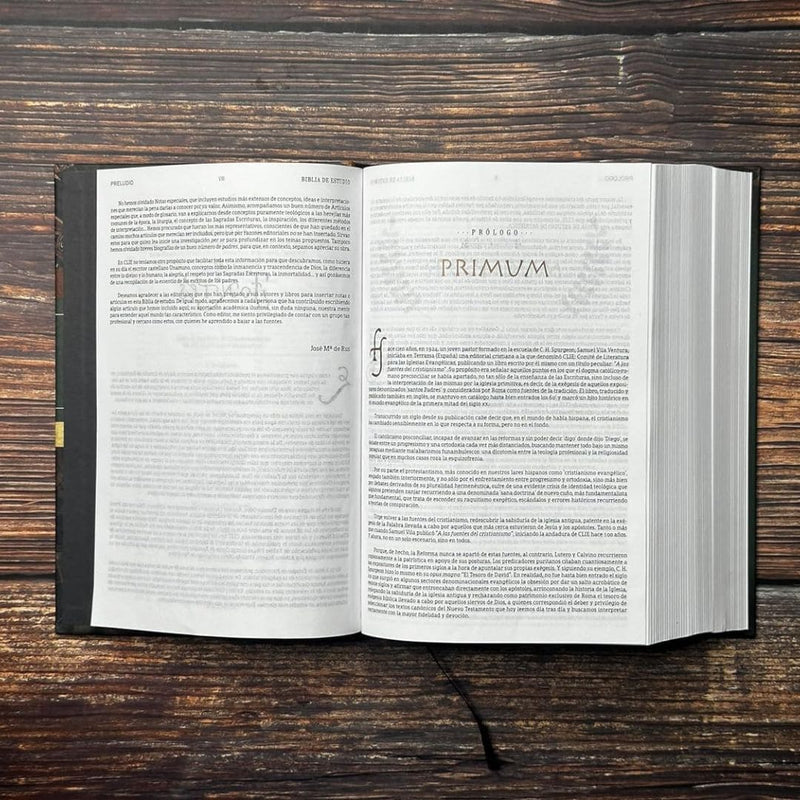 Cargue la imagen en el visor de la galería, Biblia de Estudio Patrística RVR, tapa dura
