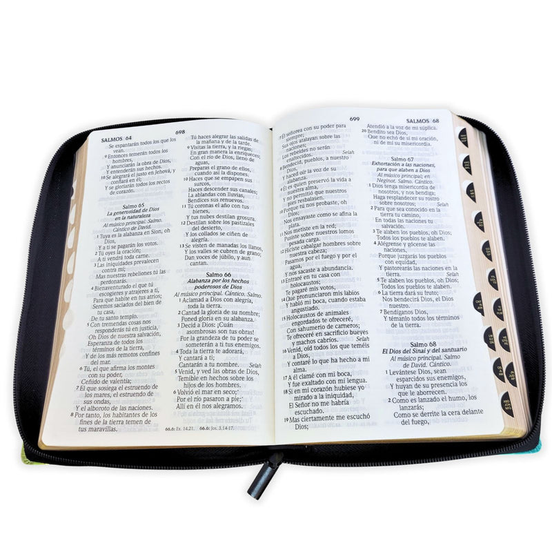 Cargue la imagen en el visor de la galería, Biblia RVR 1960, Tamaño manual, Cierre zíper, con índice, Letra Grande, imitación piel Salmo 27:1
