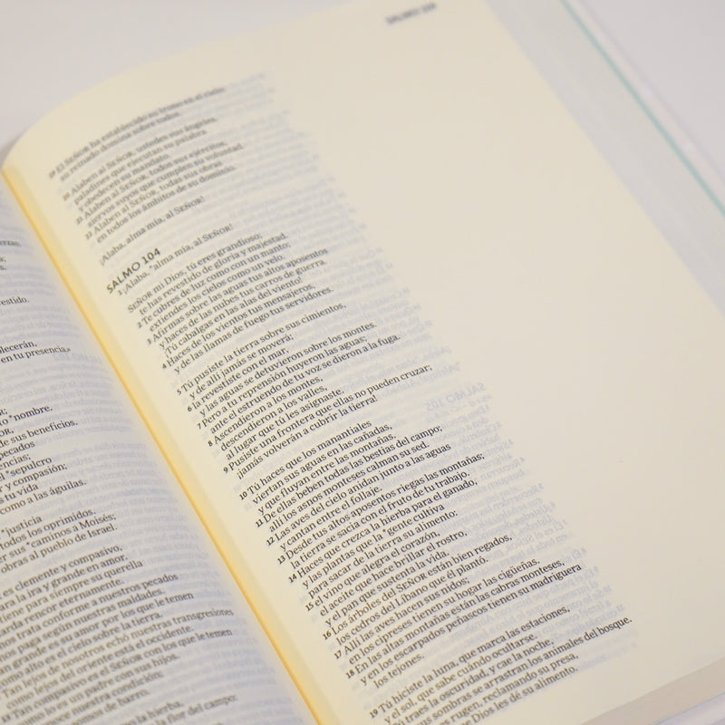 Cargue la imagen en el visor de la galería, Biblia Ilustra tu Fe NVI, beige floreada

