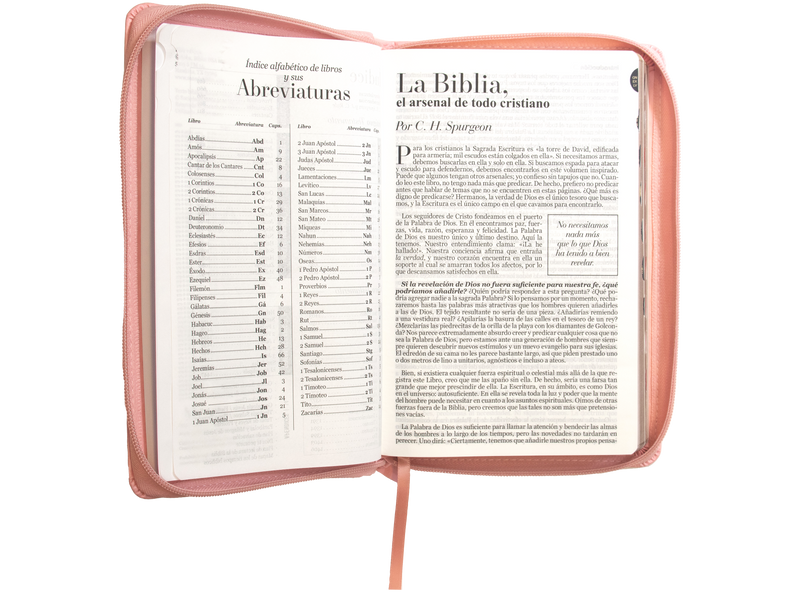 Cargue la imagen en el visor de la galería, Biblia RVR 1960, Letra Grande, Cierre zíper, con índice, imitación piel rosada
