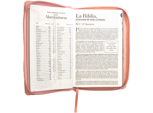 Biblia RVR 1960, Letra Grande, Cierre zíper, con índice, imitación piel rosada