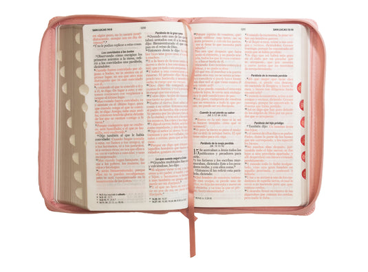 Biblia RVR 1960, Letra Grande, Cierre zíper, con índice, imitación piel rosada