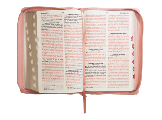 Biblia RVR 1960, Letra Grande, Cierre zíper, con índice, imitación piel rosada