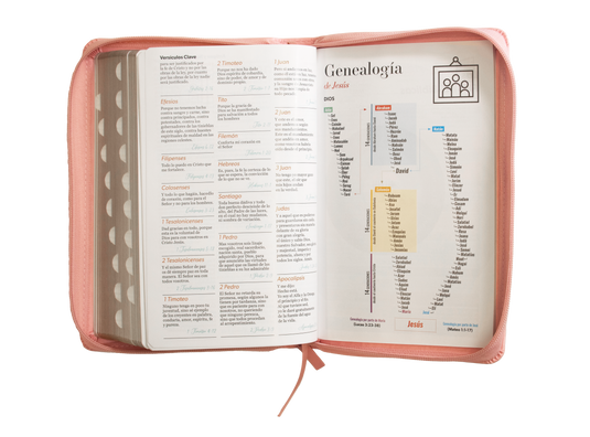 Biblia RVR 1960, Letra Grande, Cierre zíper, con índice, imitación piel rosada