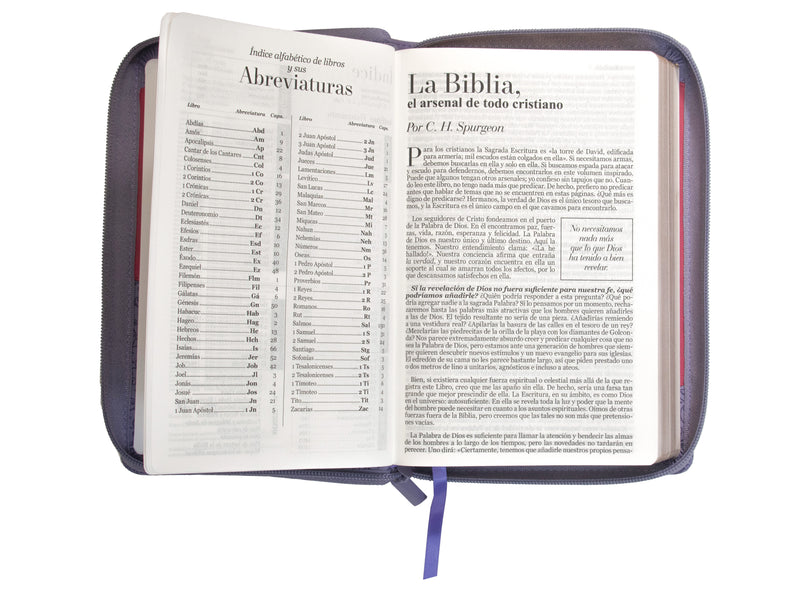 Cargue la imagen en el visor de la galería, Biblia RVR 1960, Tamaño manual, Cierre zíper, Letra Grande, imitación piel bitono morada
