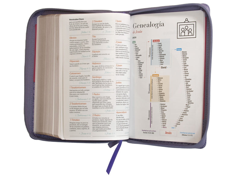 Cargue la imagen en el visor de la galería, Biblia RVR 1960, Tamaño manual, Cierre zíper, Letra Grande, imitación piel bitono morada
