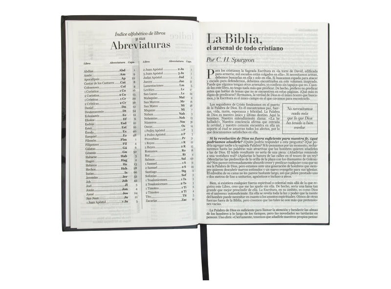 Cargue la imagen en el visor de la galería, Biblia RVR 1960, Tamaño manual, Letra Grande, Tapa flex León
